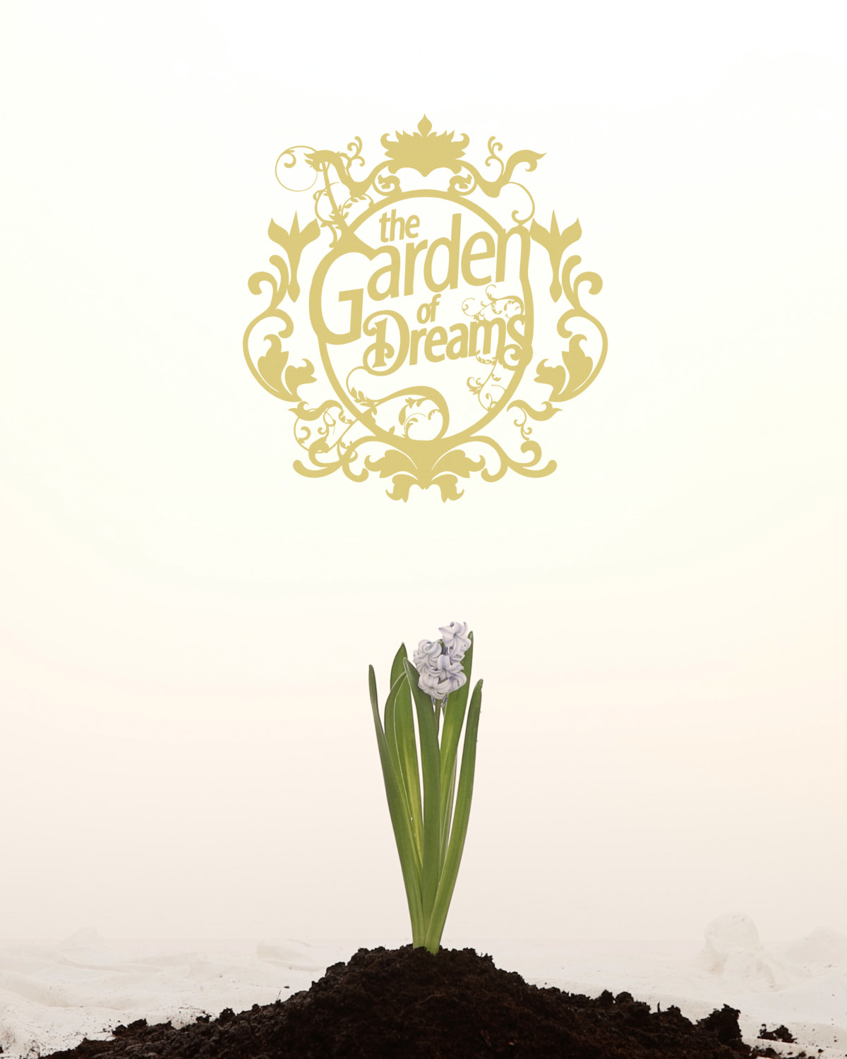 THE GARDEN OF DREAMS